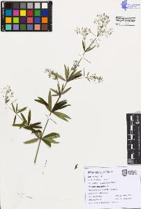 SW_BNB_s3080-07460_IMG-0000000001