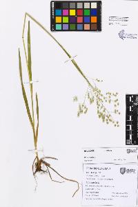 SW_BNB_s3080-07469_IMG-0000000001