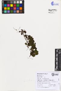 SW_BNB_s3080-07474_IMG-0000000001