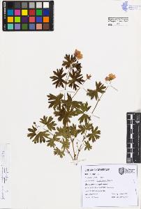 SW_BNB_s3080-07488_IMG-0000000001
