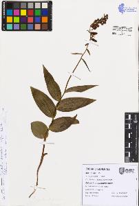 SW_BNB_s3080-07492_IMG-0000000001