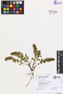 SW_BNB_s3080-07493_IMG-0000000001