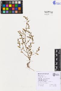 SW_BNB_s3080-07497_IMG-0000000001