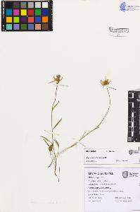 SW_BNB_s3080-07499_IMG-0000000001