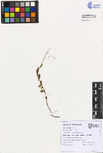 SW_BNB_s3080-07501_IMG-0000000001
