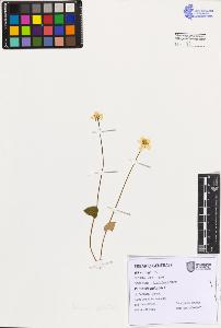 SW_BNB_s3080-07502_IMG-0000000001