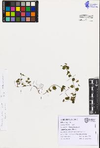 SW_BNB_s3080-07504_IMG-0000000001