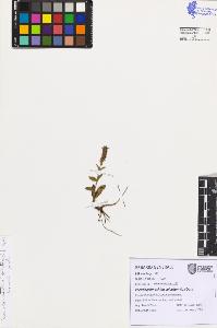 SW_BNB_s3080-07506_IMG-0000000001