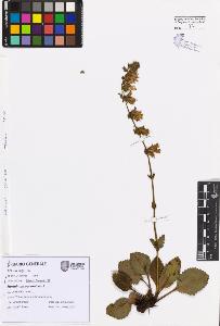 SW_BNB_s3080-07514_IMG-0000000001
