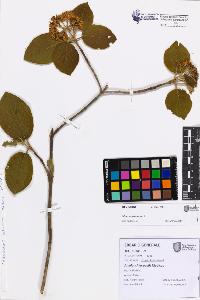 SW_BNB_s3080-07516_IMG-0000000001