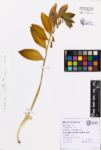 SW_BNB_s3080-07522_IMG-0000000001