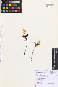 SW_BNB_s3080-07531_IMG-0000000001