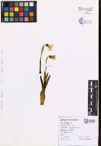 SW_BNB_s3080-07532_IMG-0000000001