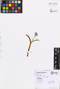 SW_BNB_s3080-07536_IMG-0000000001
