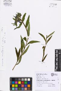 SW_BNB_s3080-07550_IMG-0000000001