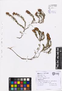 SW_BNB_s3080-07565_IMG-0000000001