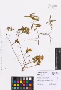SW_BNB_s3080-07566_IMG-0000000001