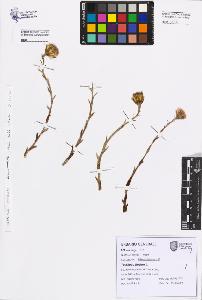 SW_BNB_s3080-07567_IMG-0000000001