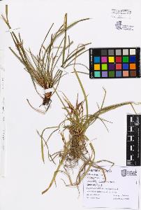 SW_BNB_s3080-07571_IMG-0000000001
