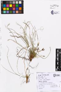 SW_BNB_s3080-07572_IMG-0000000001