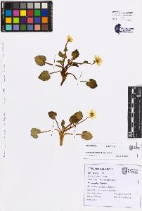 SW_BNB_s3080-07573_IMG-0000000001