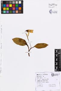 SW_BNB_s3080-07585_IMG-0000000001