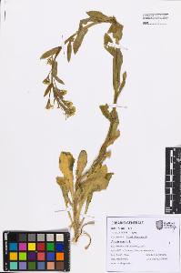 SW_BNB_s3080-07588_IMG-0000000001