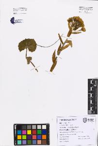 SW_BNB_s3080-07590_IMG-0000000001