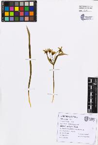 SW_BNB_s3080-07592_IMG-0000000001