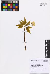 SW_BNB_s3080-07593_IMG-0000000001