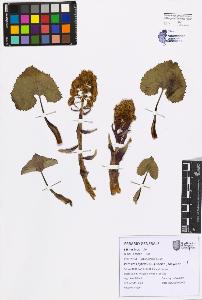 SW_BNB_s3080-07594_IMG-0000000001