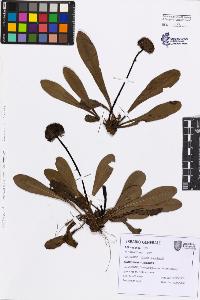 SW_BNB_s3080-07598_IMG-0000000001