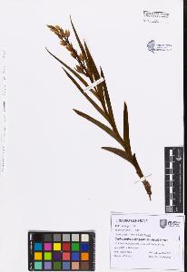 SW_BNB_s3080-07599_IMG-0000000001