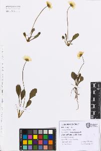 SW_BNB_s3080-07600_IMG-0000000001