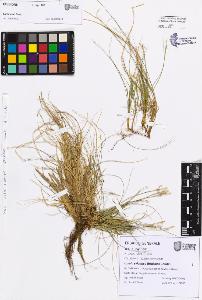SW_BNB_s3080-07603_IMG-0000000001