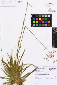 SW_BNB_s3080-07605_IMG-0000000001