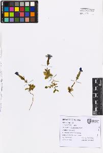 SW_BNB_s3080-07612_IMG-0000000001