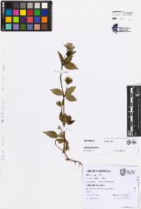 SW_BNB_s3080-07614_IMG-0000000001