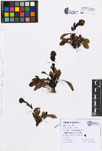 SW_BNB_s3080-07615_IMG-0000000001