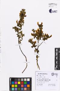 SW_BNB_s3080-07616_IMG-0000000001