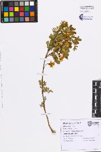 SW_BNB_s3080-07617_IMG-0000000001