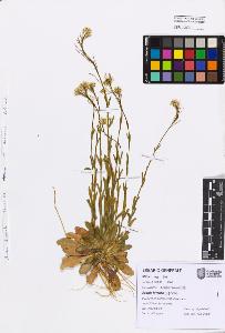 SW_BNB_s3080-07619_IMG-0000000001