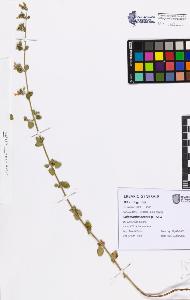 SW_BNB_s3080-07622_IMG-0000000001