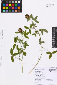 SW_BNB_s3080-07631_IMG-0000000001