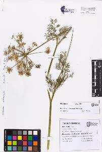 SW_BNB_s3080-07634_IMG-0000000001