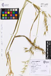SW_BNB_s3080-07636_IMG-0000000001