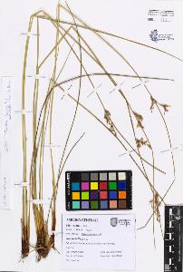 SW_BNB_s3080-07644_IMG-0000000001