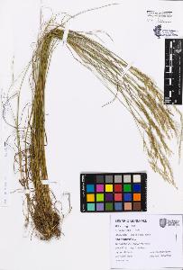 SW_BNB_s3080-07647_IMG-0000000001
