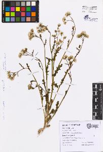SW_BNB_s3080-07650_IMG-0000000001