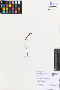 SW_BNB_s3080-07672_IMG-0000000001
